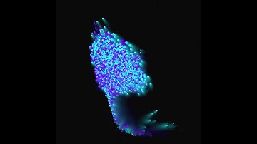 Curl Noise V1