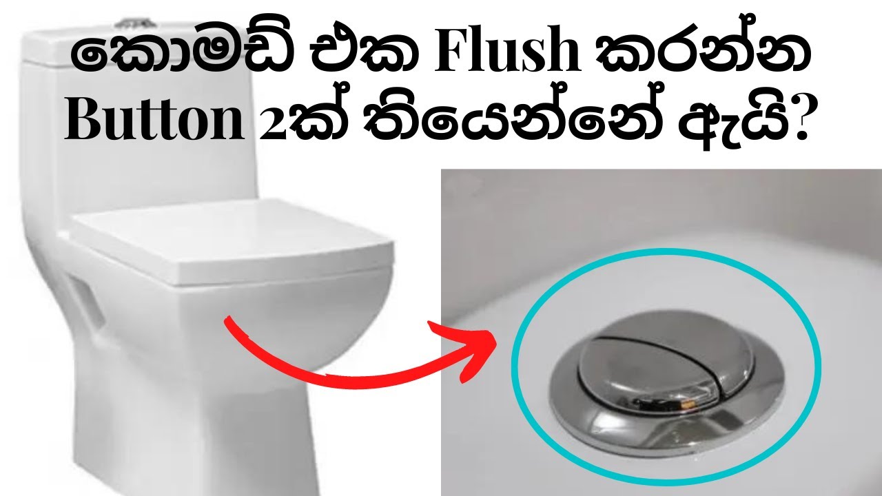 Why do toilets have 2 flush buttons How the 2 buttons in toilet work