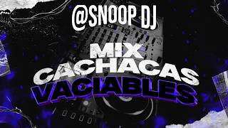 Download Lagu MIX CACHACAS VACIABLES 2026 – LOS BYBYS, SONIDO MAZTER \u0026 MÁS 🔥 –  SNOOP DJ MP3