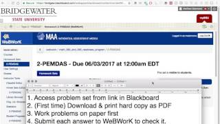 WeBWorK: What to do on paper, what to do online screenshot 1