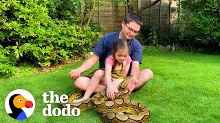 Little Girl Grows Up With Two Python BFFs | The Dodo