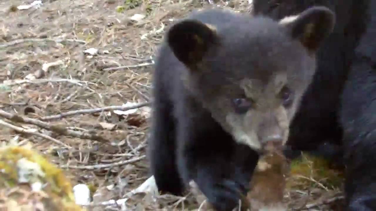 April 16, 2010 - Lily & Hope