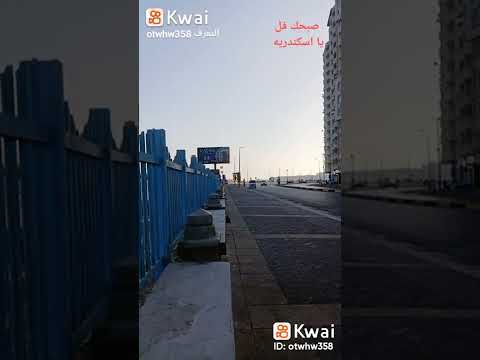 ياجمال اسكندريه