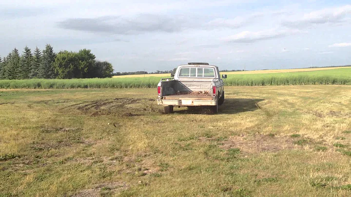 1979 Ford F150 Custom w/ dual glasspacks