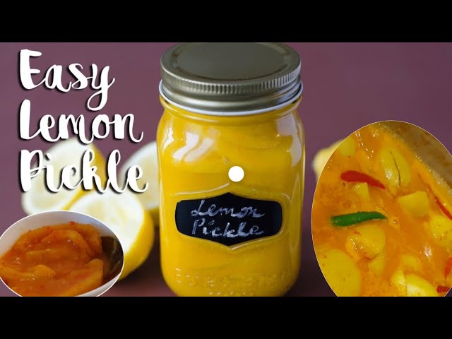 Men uning külotlarini siltab tashladim Kanniballar haqida dahshatli filmlar onlayn