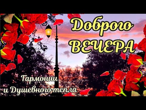 Добрый Вечер. Супер Красивое Пожелание Доброго Осеннего Вечера 🍂ОТКРЫТКА #добрыйвечер #доброговечера