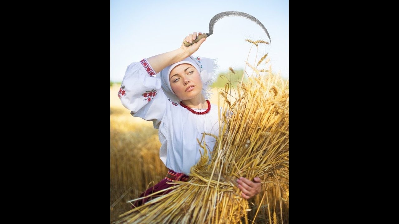 bu-m-s-r-kurutma-size-g-nde-100-000-tl-kazand-r-r-teco-m-s-r-kurutma