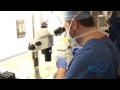 Exclusive Tour: Inside the IVF Laboratory at RMA of New York