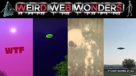 weird web wonders 71