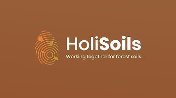 HoliSoils Policy Event: Forest soils for a climate-smart future - 10 October 2025