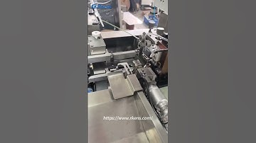 High Accuracy Automatic double end  ferrule crimping machine  cut strip crimp terminals RS-01G