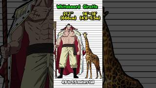 One Piece Characters are Built Different [Size Comparison]