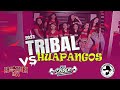 Tribal vs huapangos 2023 dj spider pzs 