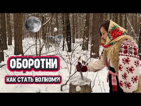 Славянские ОБОРОТНИ. Как стать ВОЛКОМ? Волколак. Волкодлак. Вурдалака | Сказочная книга ведьмы