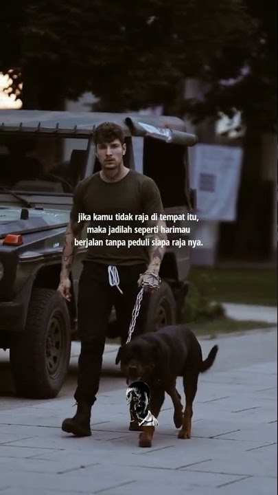Jadilah seperti harimau , Diam mematikan #shorts #shortvideo #motivasisukses #motivation #motivasi