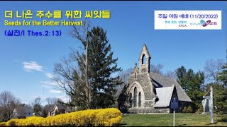 더 나은 추수를 위한 씨앗들 (하나님의 사랑교회 1부 주일예배 2022/11/20) 데살로니가전서 2:13