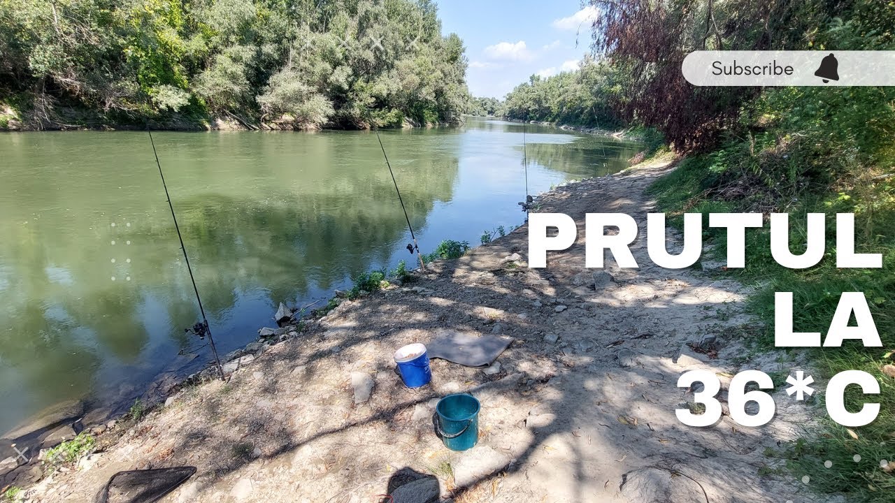 Pescuit la Prut , testam raspunsul pestelui pe temperaturi sufocante