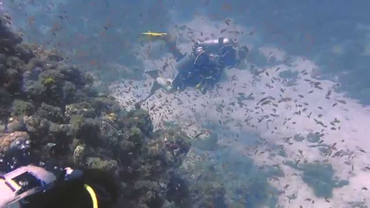 Diving Dahab. Discover the Canyon