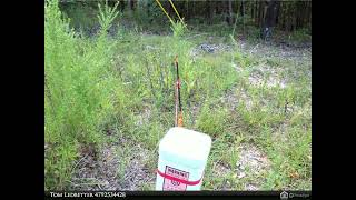 Land - Holiday Island, AR