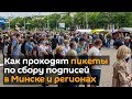Пикеты по сбору подписей: как это было в Минске и регионах