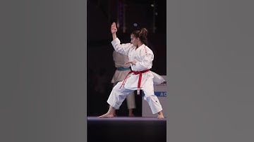 Anil vahdat Shariatpanahi. Gold medal in world karate youth league championship in uae Fujairah 2024