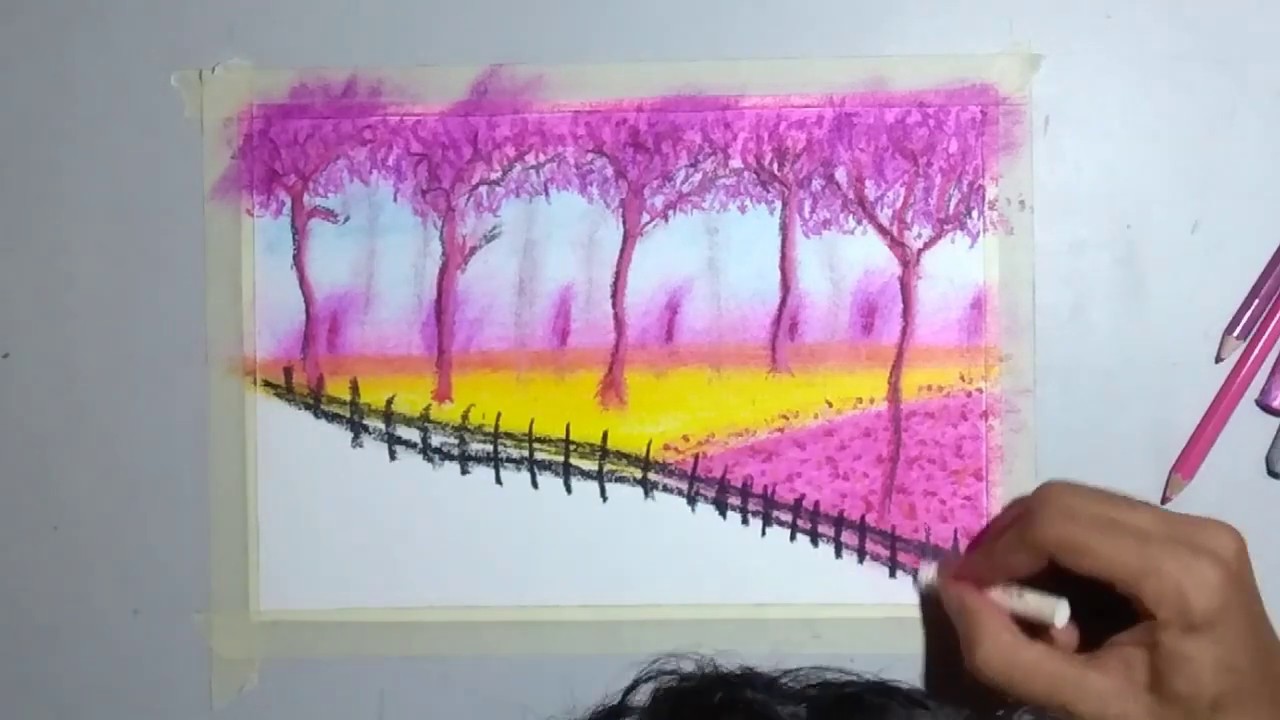 cherry blossom trees spring drawing with oil pastels YouTube