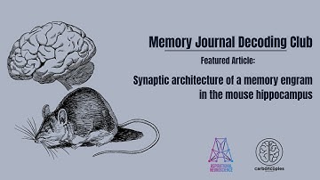 MDJC07 Synaptic architecture of a memory engram (Uytiepo et al., 2025)