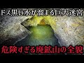 いよいよ大宮鉱山を完全攻略できました【廃鉱山】