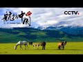 《航拍中国》第三集 新疆 | CCTV纪录