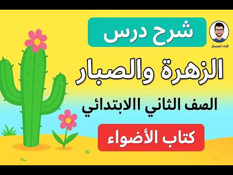 شرح درس الزهرة والصبار حل تدريبات ص97 100 لغة عربية الصف الثالث الابتدائي 2026 كتاب الأضواء