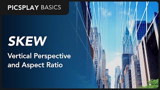 Skew - Vertical Perspective and Aspect Ratio | PICSPLAY Basics screenshot 2