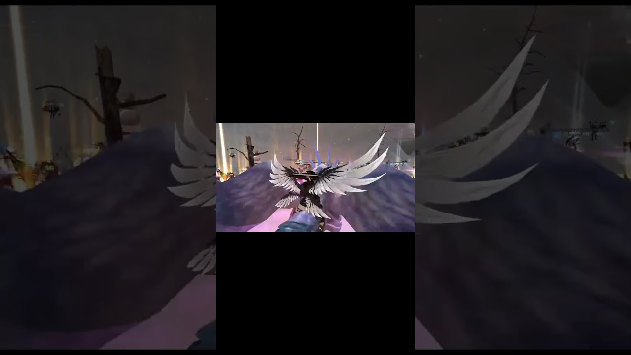 Shaiya Carpatic Final day of TOP 5 ranking