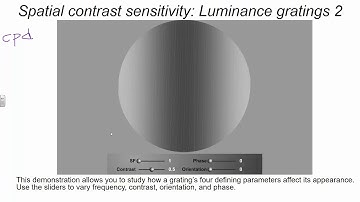 PSY 324 Spatial Vision 2-28-18