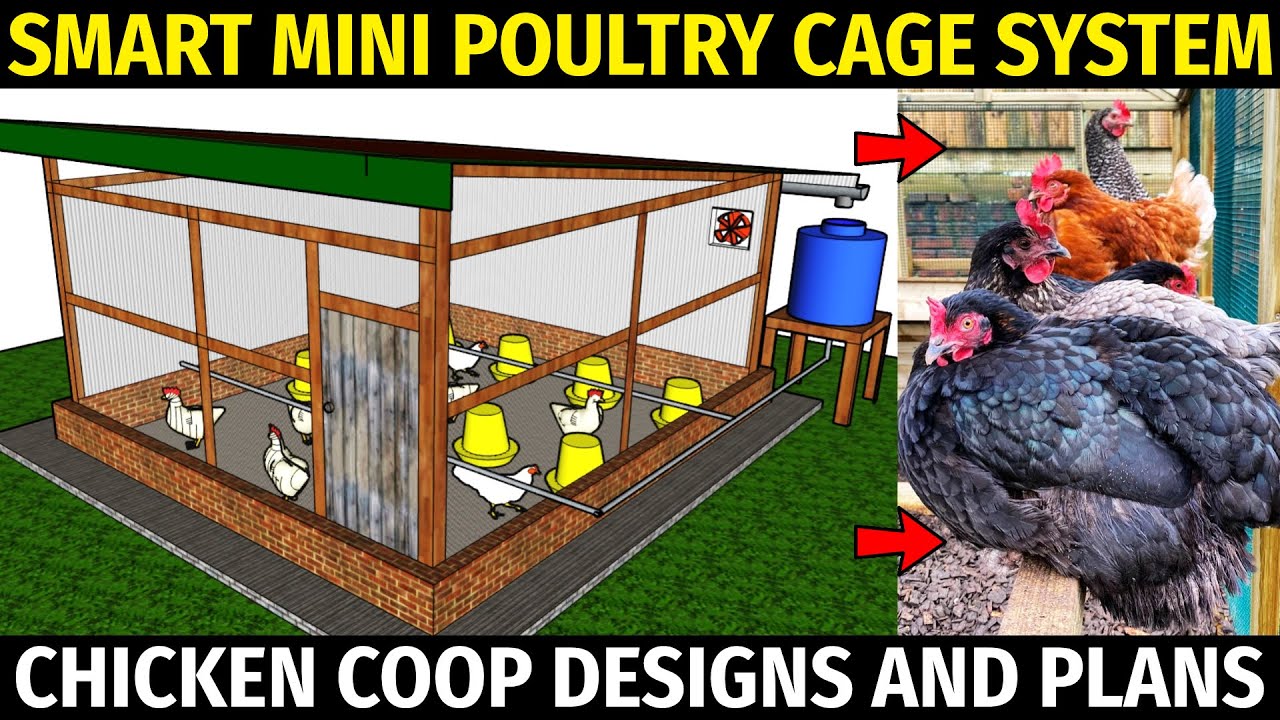 Smart Mini Poultry Cage System | Chicken Coop Designs And Plans - Youtube