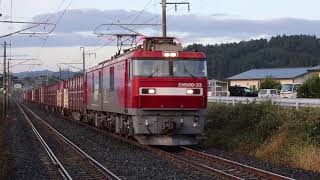 青い森鉄道 EH500形2075レ 苫米地駅通過 2018年10月13日