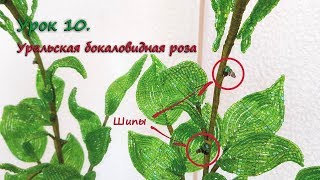Бокаловидная роза. 🌹 Урок 10 - Шипы / Cup-shaped rose. Lesson 10 - Thorns Бокаловидная роза. 🌹 Урок 10 - Шипы / Cup-shaped rose. Lesson 10 - Thorns