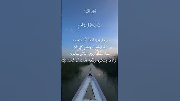 ياأيها الناس اتقوا ربكم إن زلزلة الساعة شيء عظيم | سورة الحج القارئ الحاج عامر الكاظمي
