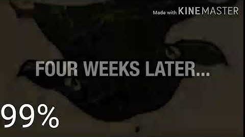 The Real 766 Render Pack Round 168 Stupid X 99