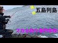 【聖地五島列島】爆釣のフカセ釣り!!