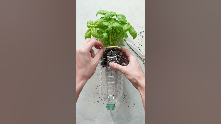 This Simple Hack Turns Plastic Bottles into Self-Watering Planters! 🌱