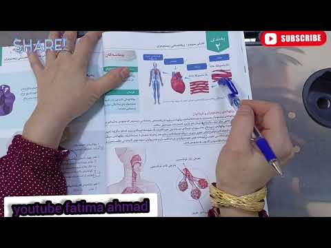 زیندەوەر پۆل٧ ل٤٠ ٤١