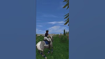 Rolling in the Deep #edit #sso #like #viral #shorts #americanpaint #springen