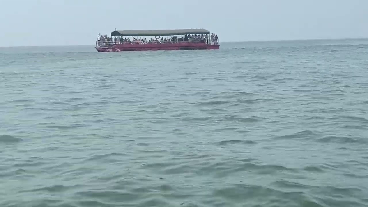 Dolphins In Goa coco beach , Goa beach 