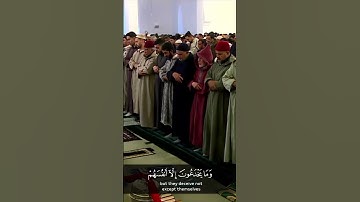 ماتيسر من سورة البقرة | القارئ عبد القرطبي #القرآن_الكريم #المصحف #beautifulquran #اكسبلور