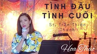 Tình Đầu Tình Cuối | St. Trần Thiện Thanh | Hoa Thảo | Live at TN Studio