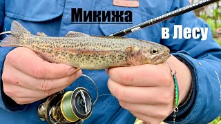 Весенний лес Камчатки и Микижа 4K #камчатка#рыбалка#туризм