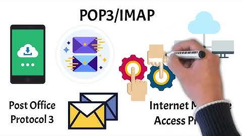 Network Protocols Explained: Networking Basics