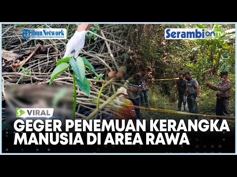 Viral Geger Penemuan Kerangka Manusia Di Area Rawa