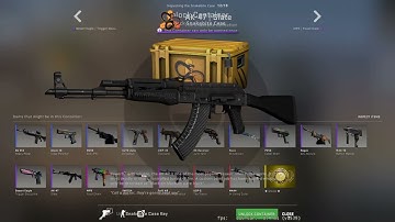 CS:GO Snakebite Case Opening