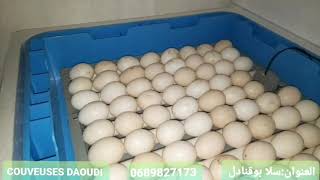 وضع بيض السلالات في فقاسات 128 بيضة مع شرح كيفية الاستعمال